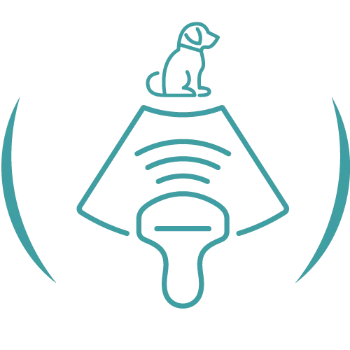 Teal veterinary line icon.