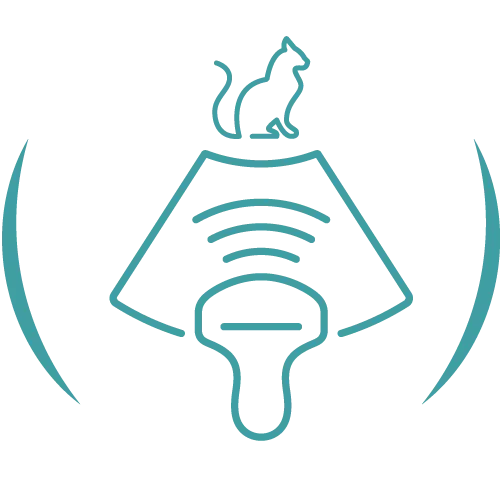 Teal veterinary line icon.