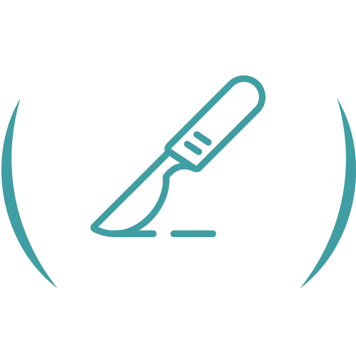 Teal veterinary line icon.