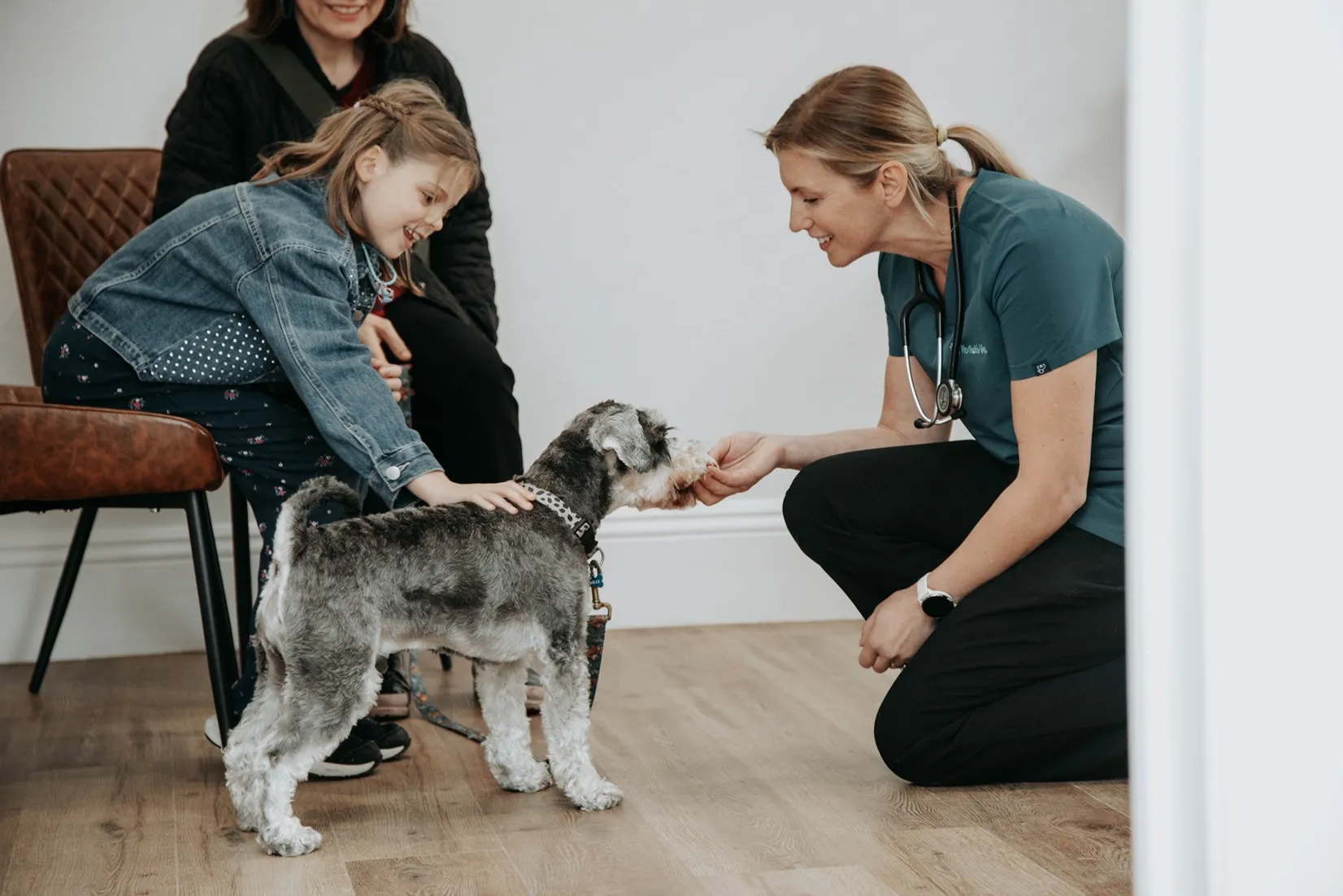 vet with dog in waiting room