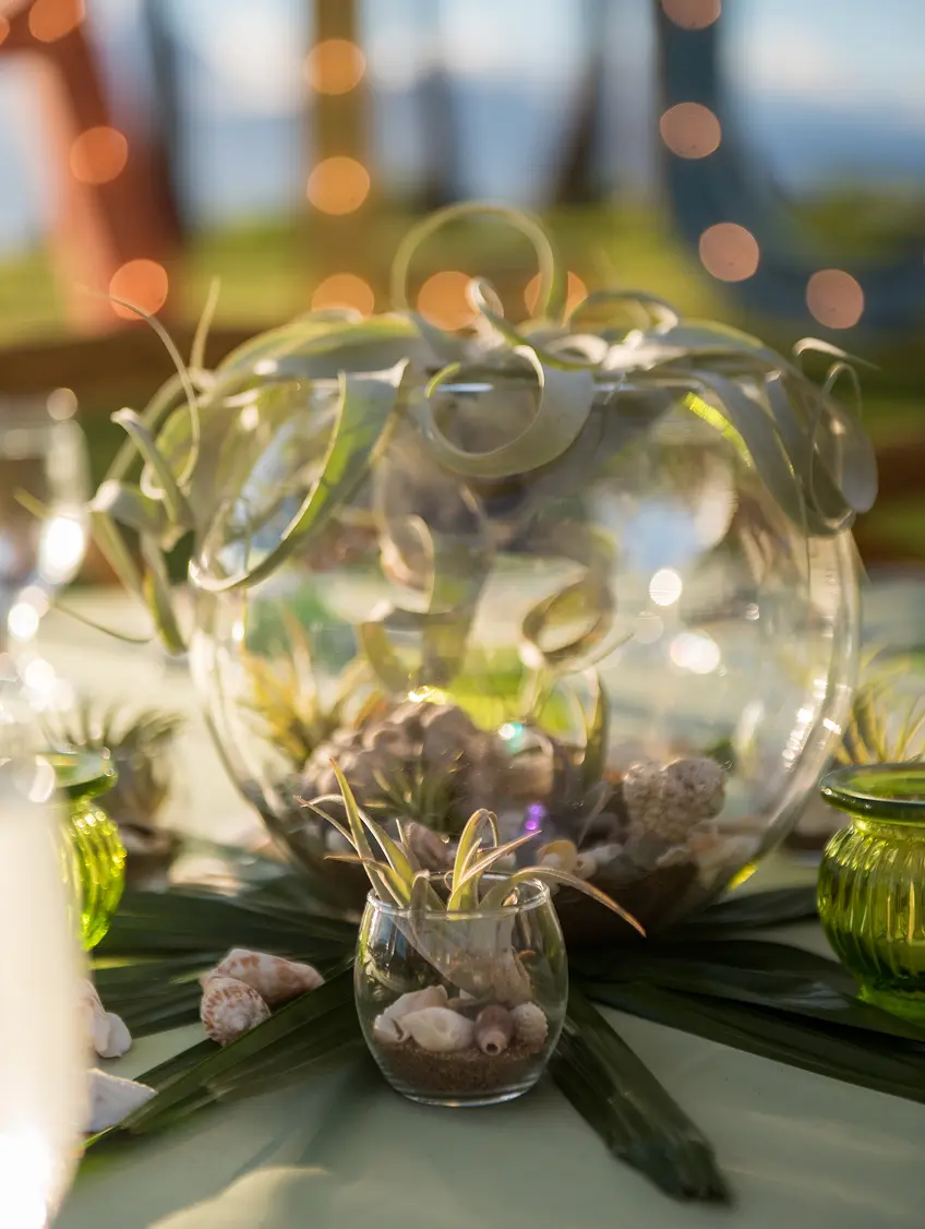 Floral Centerpiece