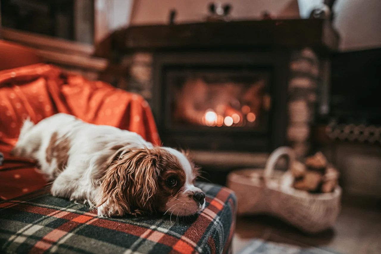 A dog laying on a couch with a fireplace in the background.