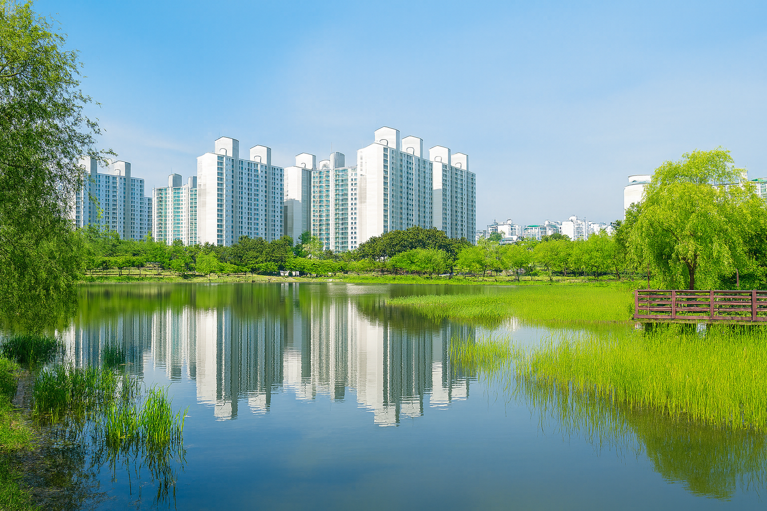 Affordable housing property manager reviewing reports 