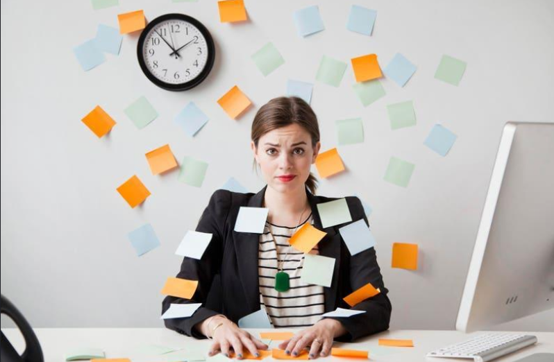 Small PHA administrator conducting tenant background screening and compliance checks
