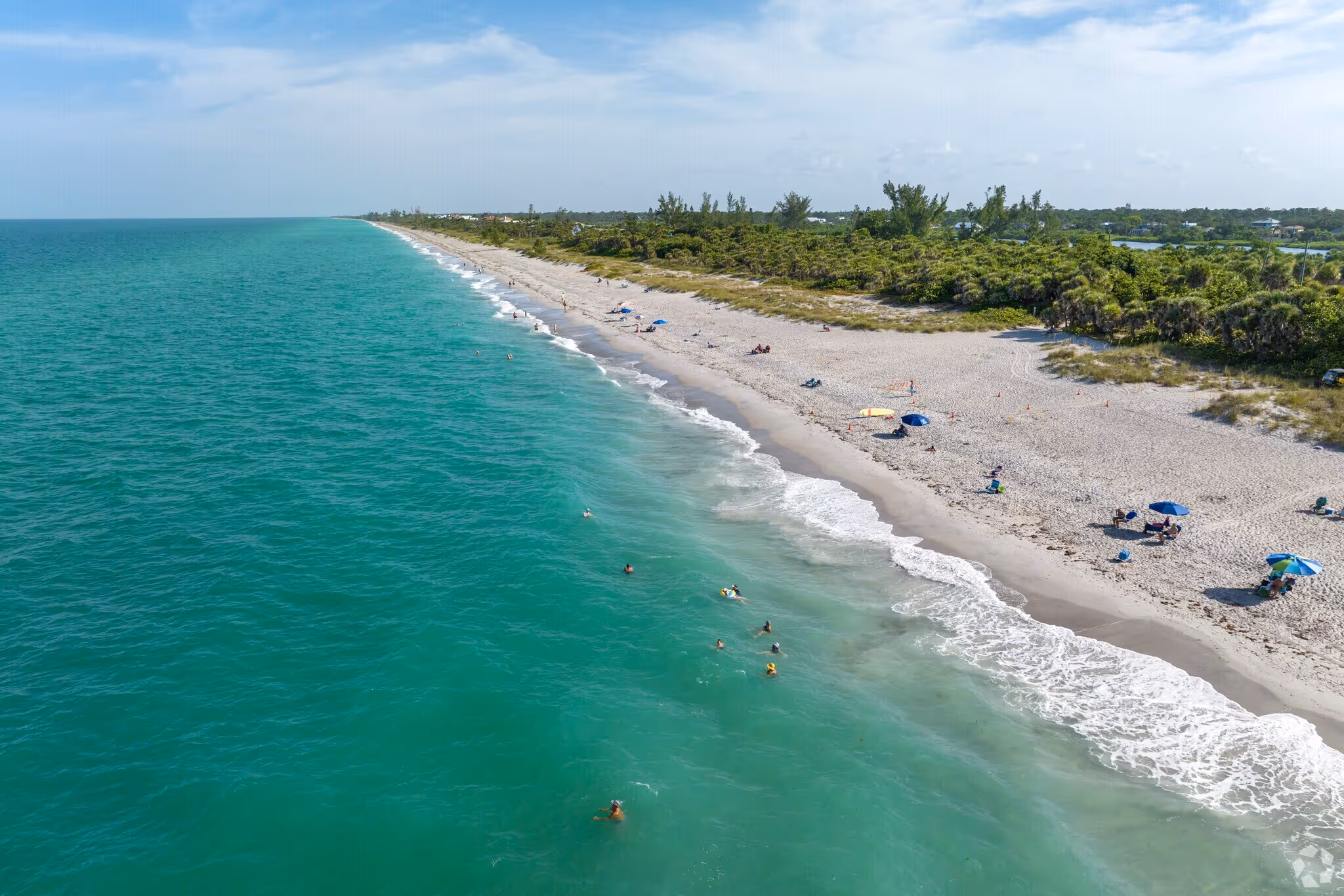 Sunny Sarasota beach with families swimming, sunbathing, umbrellas, turquoise water, and sandy shoreline for outdoor recre...