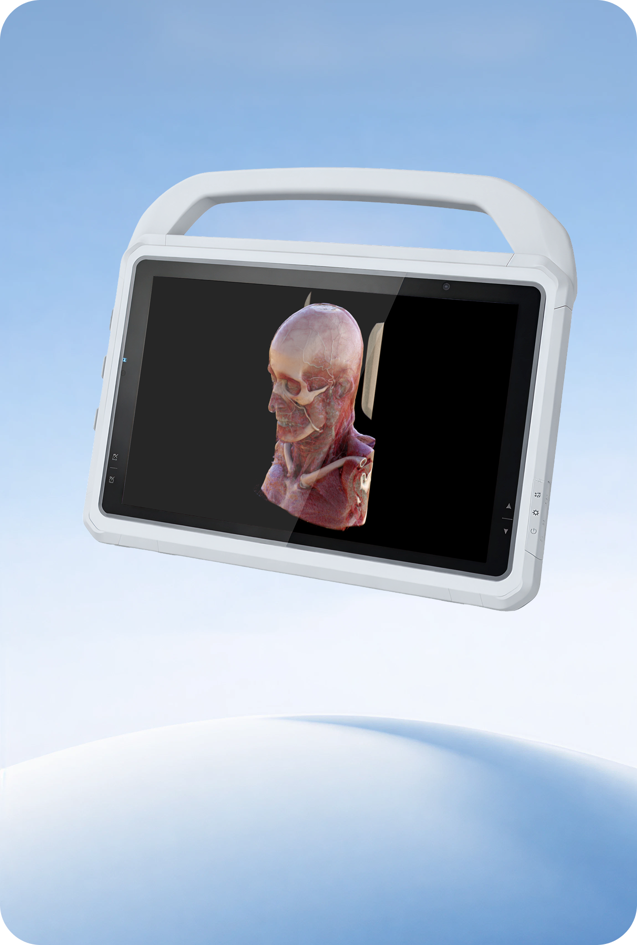 Tablet z obrazem czaszki i mięśni głowy i szyi na tle nieba.