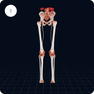 Widok modułu analizy anatomicznej i segmentacji struktur 3D.