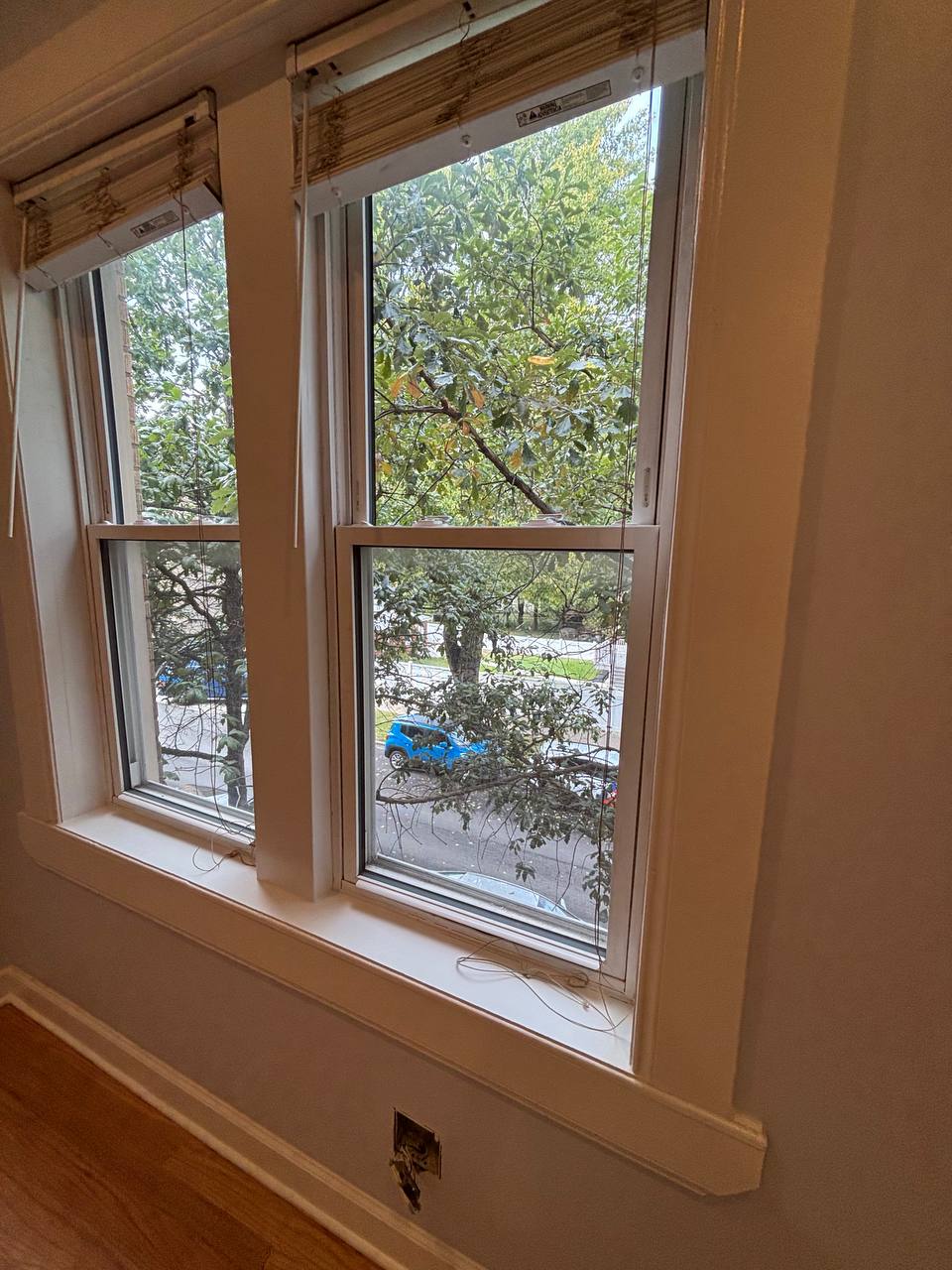 Two tall windows with raised blinds looking out on a tree