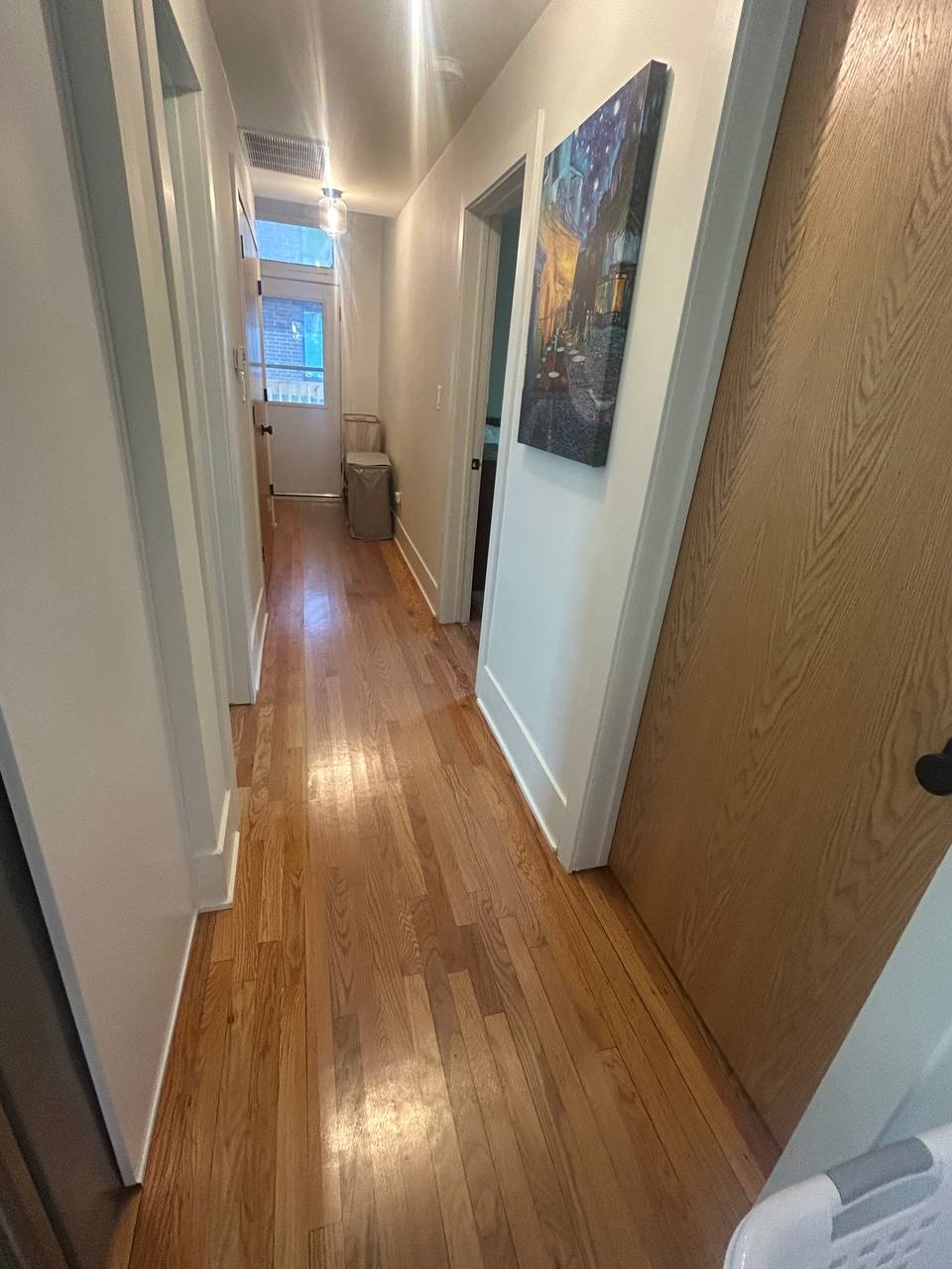 Narrow hallway with wood floor, framed painting and back door