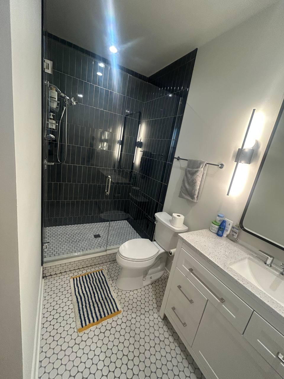 Bathroom with dark tile walk-in shower, toilet, striped rug and white vanity