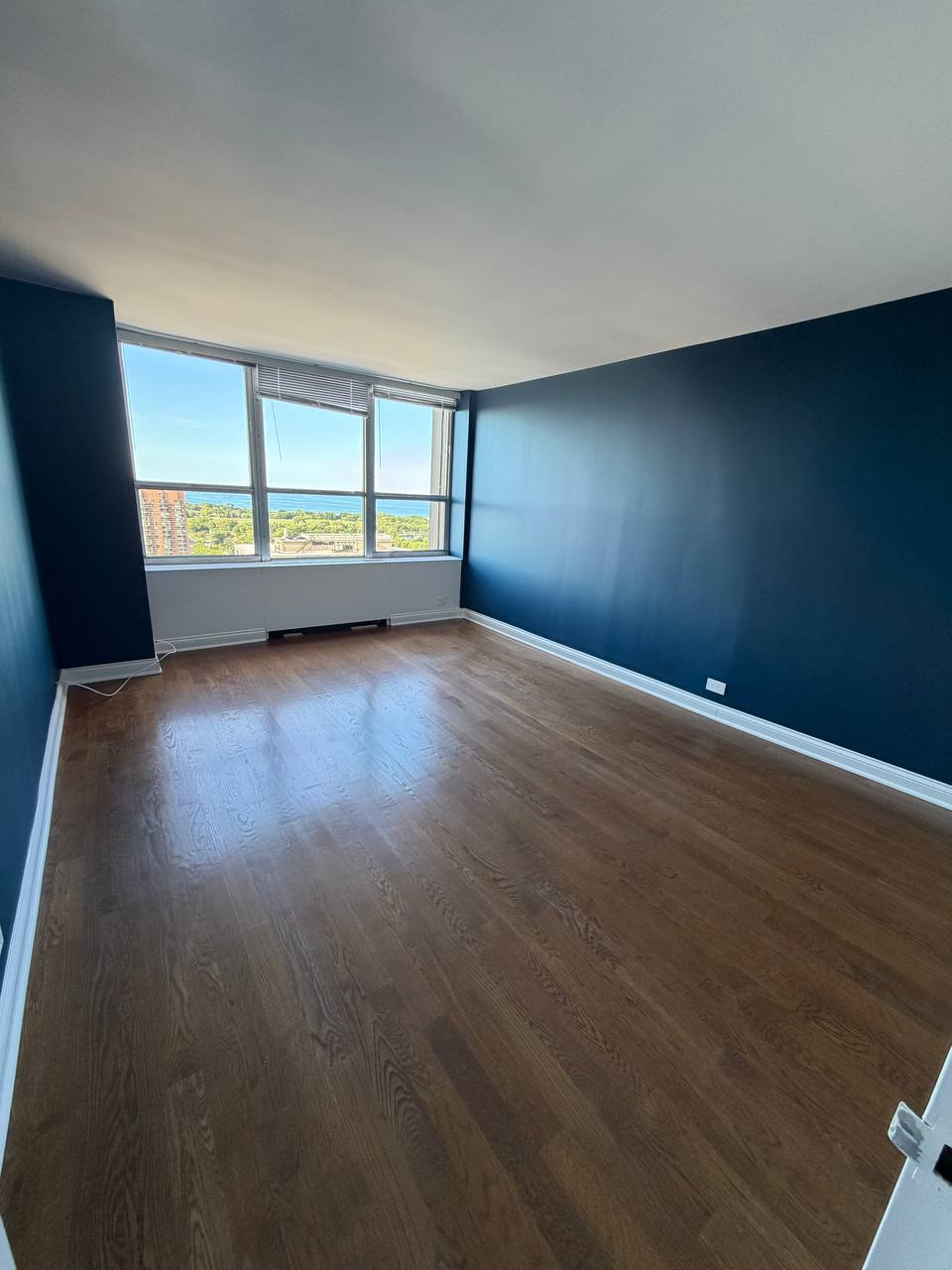 Empty room with navy walls, wood floor and a lake view window