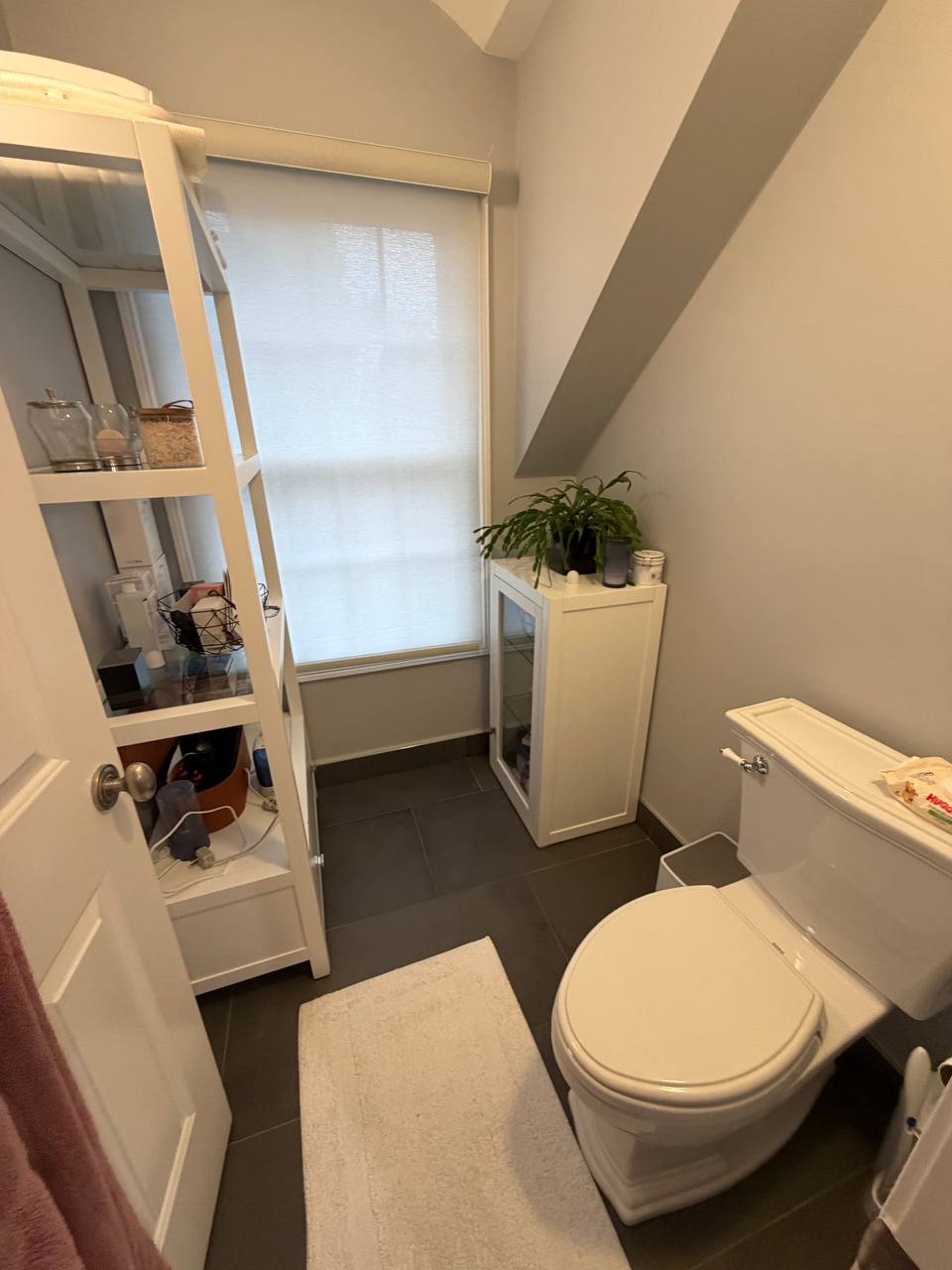 Bathroom with white shelving unit, toilet, plant and roller shade