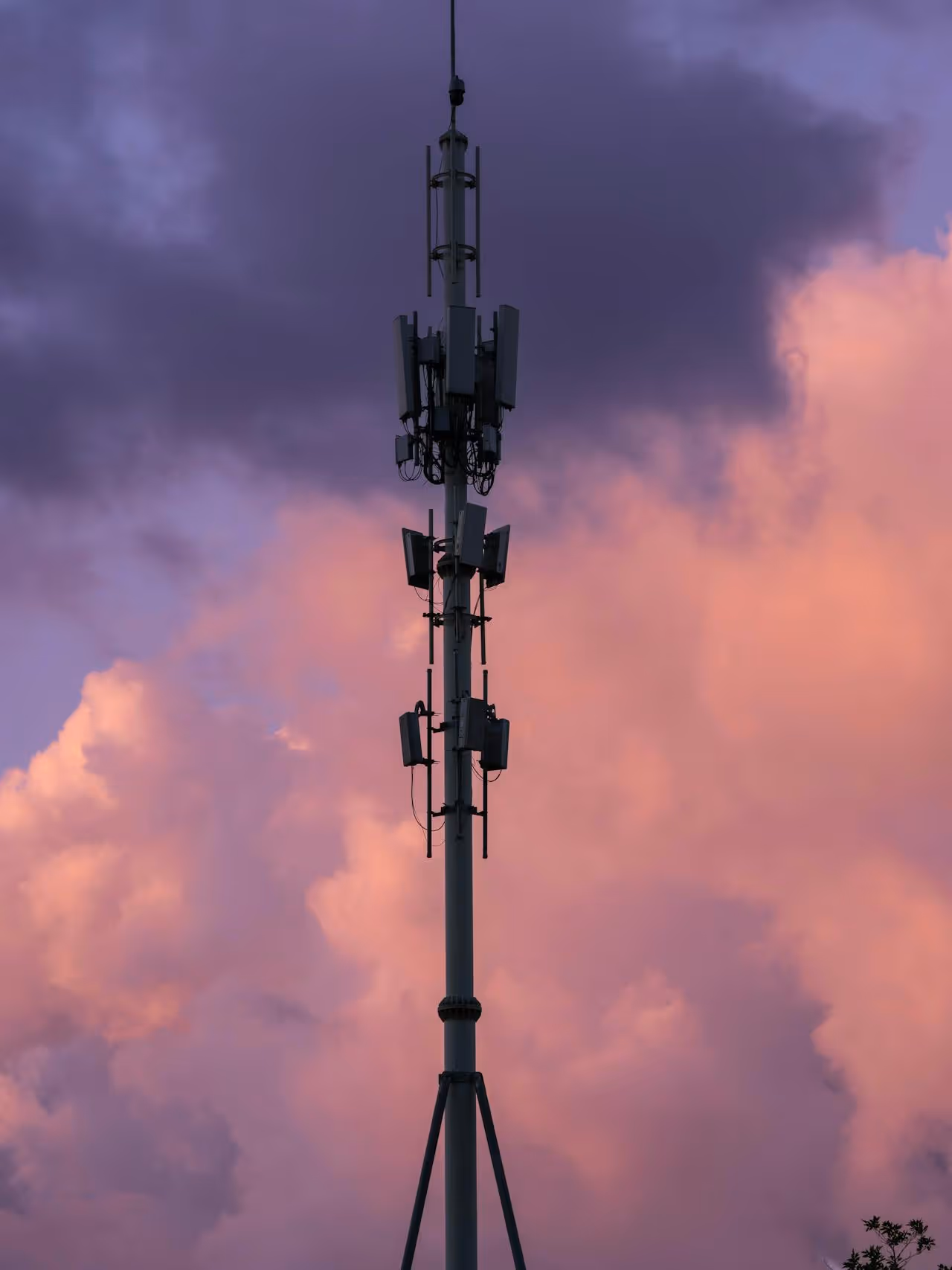 Redes y antenas