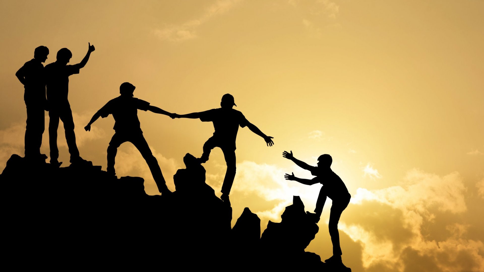 image of volunteerism in nature