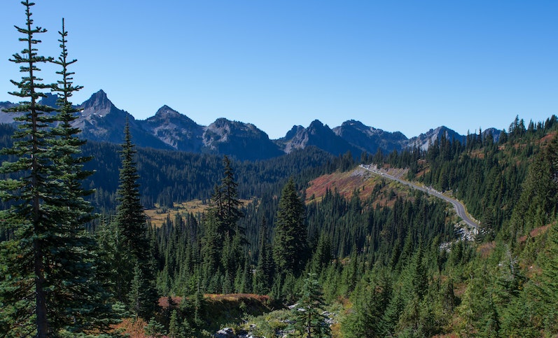 mt rainier park sfo oak
