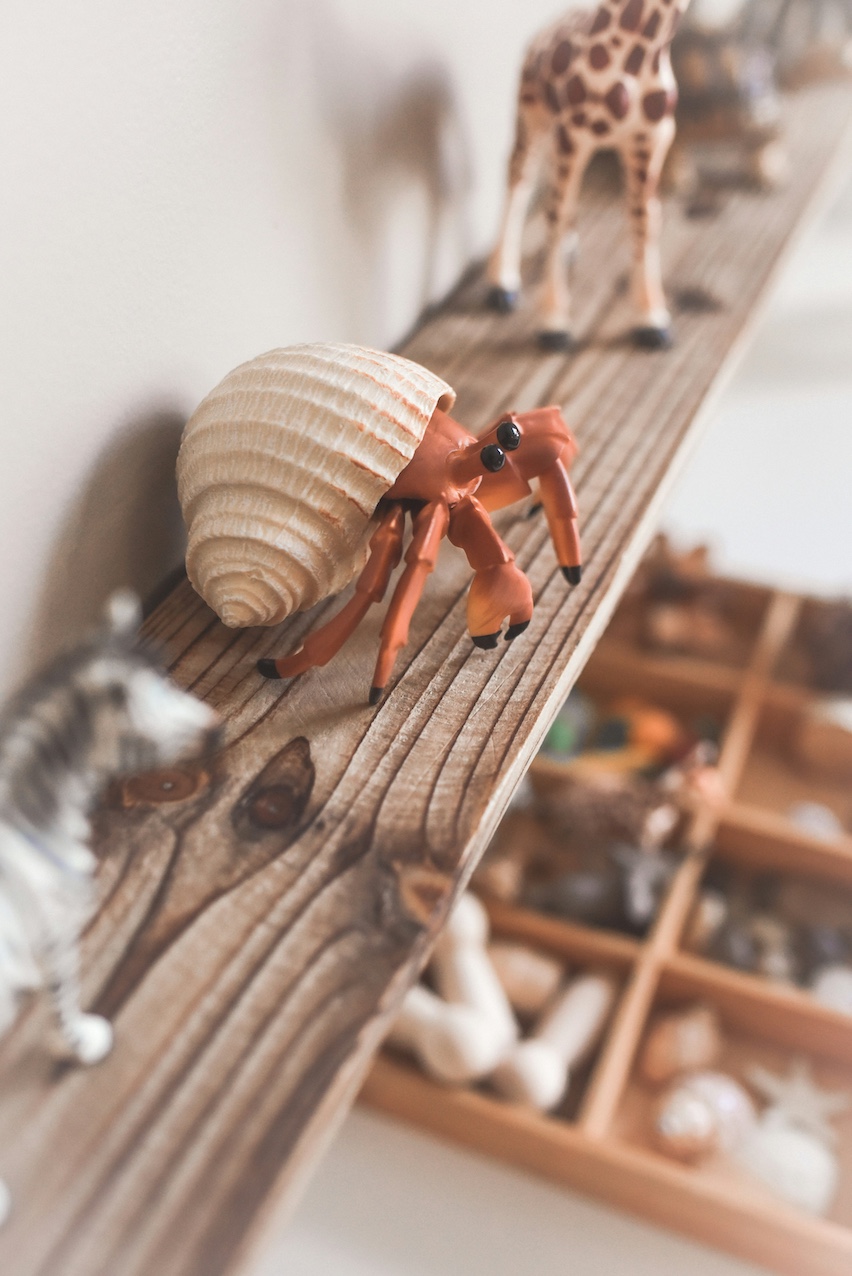 Montessori classroom shelf with animal figurines and natural materials at OC Toddler School in Ladera Ranch