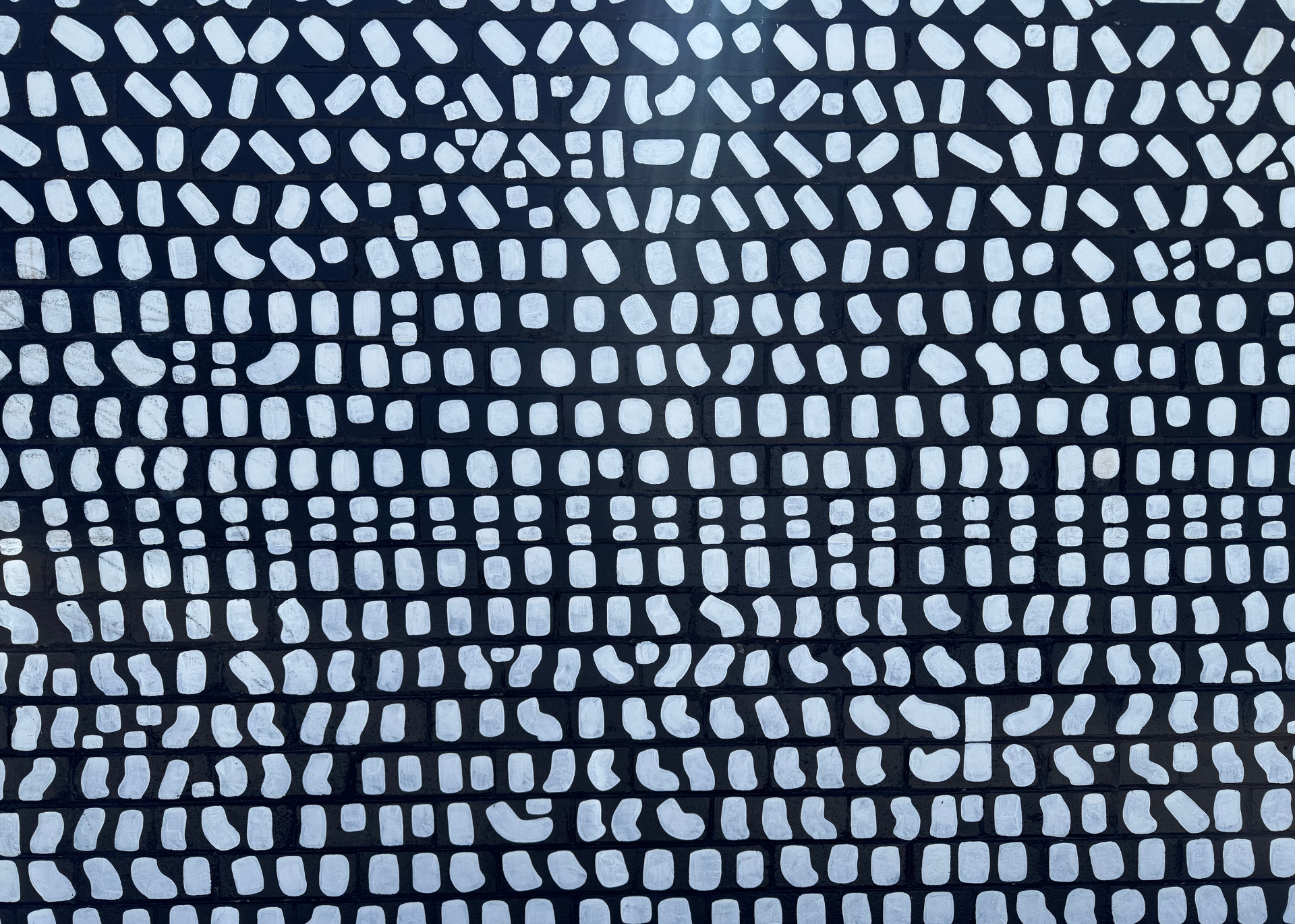 Flat lay of a DSLR camera and MacBook on a wooden desk — representing creative branding and digital content creation at In Sync Creative.