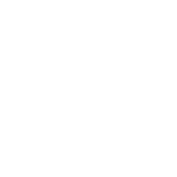 Black and white silhouette of a chess knight piece facing right.