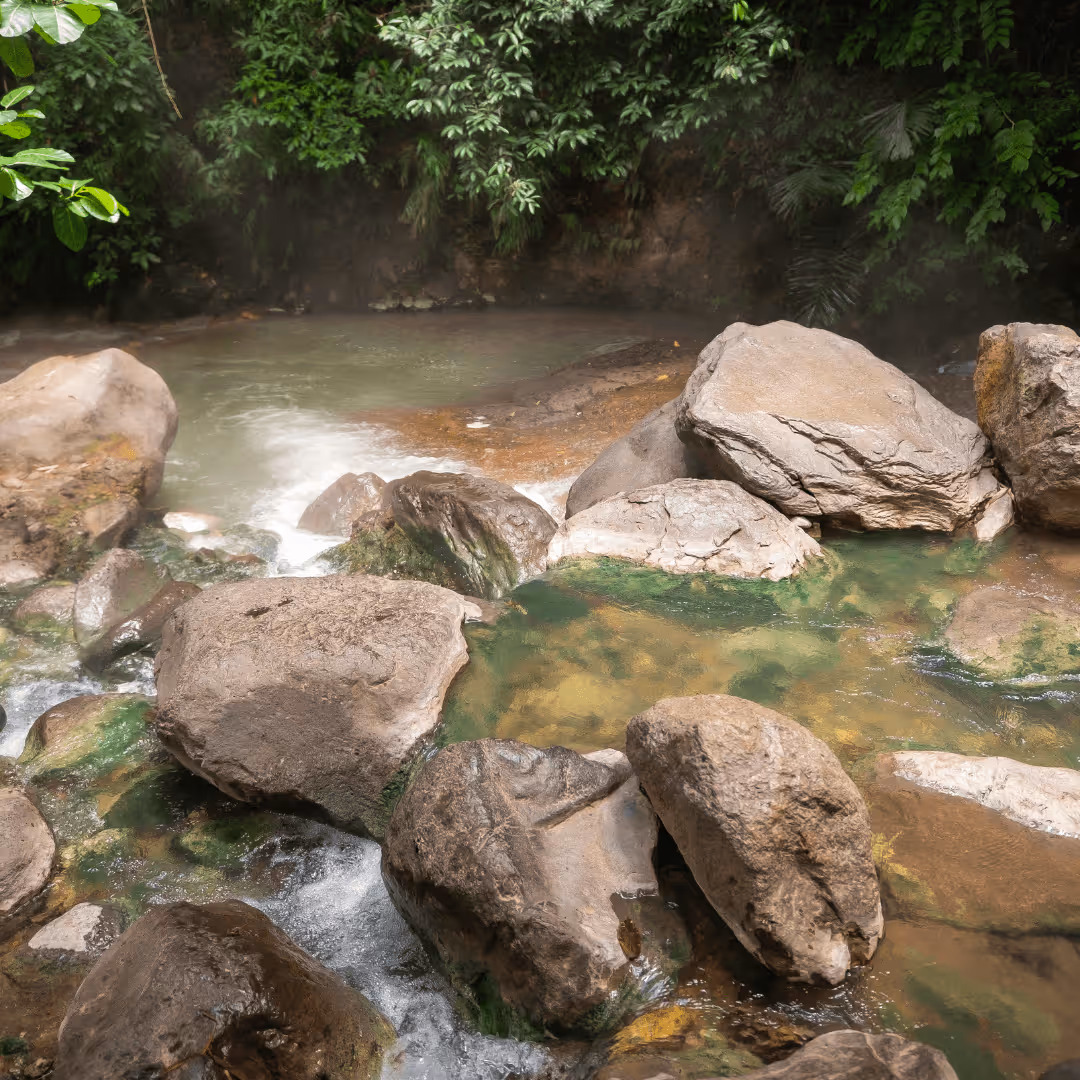 Stream flowing over large rocks surrounded by green foliage and mist.