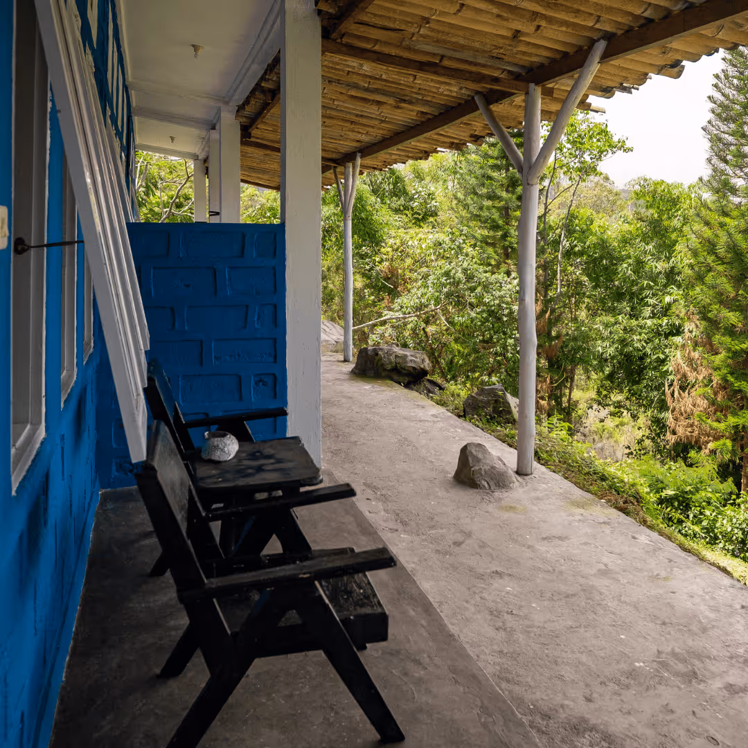 Wooden porch with rustic chairs and a bamboo roof overlooking lush green trees and rocks.