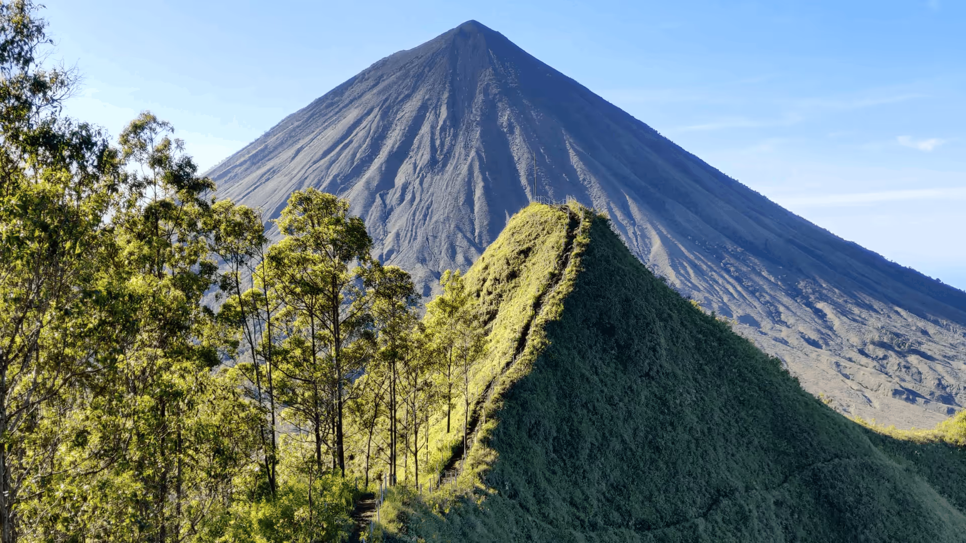 Green ridge with a narrow trail and fence leading towards a large volcanic mountain in the background under a clear blue sky.