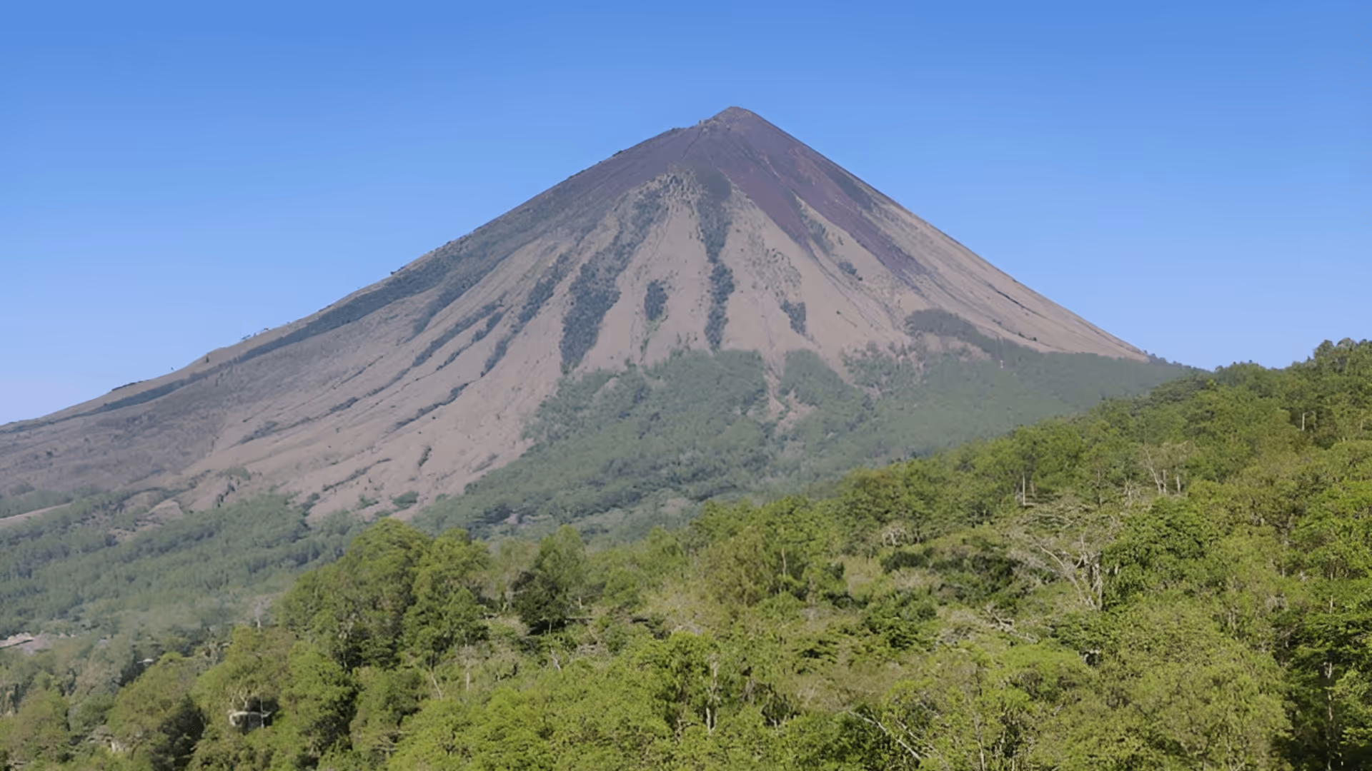 Green forest in front of a tall volcanic mountain with a clear blue sky.