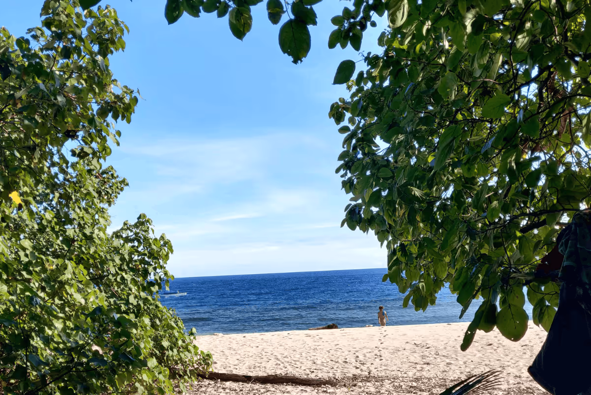 View of a sandy beach and calm ocean framed by green leafy trees under a clear blue sky, with a person standing near the water.