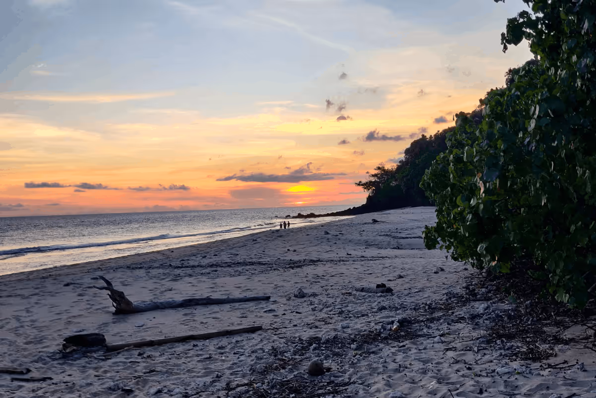 Three people standing on a sandy beach at sunset with ocean waves on the left and green foliage on the right.