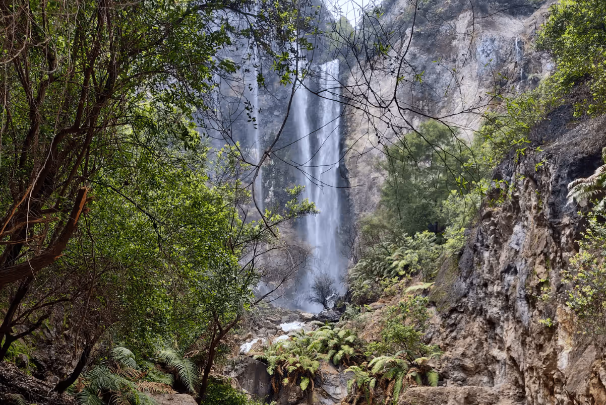Tall waterfall cascading down rocky cliffs surrounded by green trees and ferns in a forest.