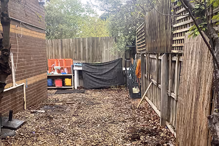 Backyard cleaned