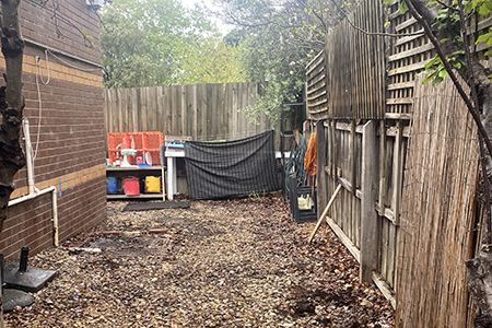 Backyard cleaned