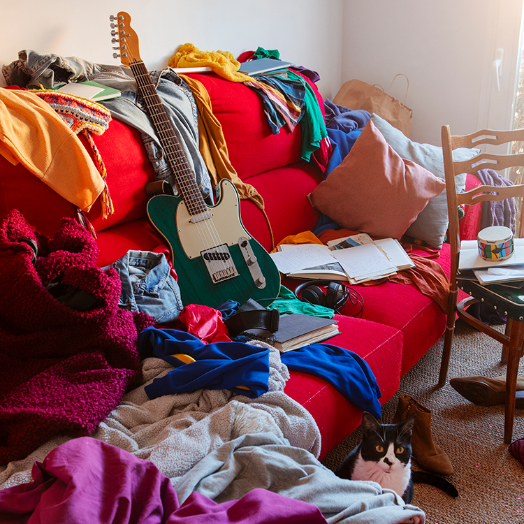 Hoarder Clean Up by Canberra Rubbish Removal Service 