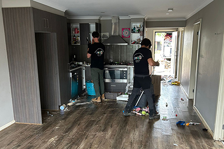 Hoarder Deep Clean Up