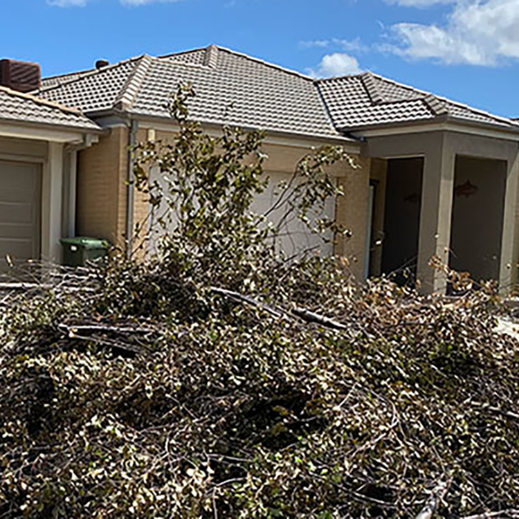 Green and Garden Waste Removal by Canberra Rubbish Removal Service 
