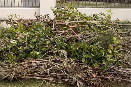 Garden trimming and waste removal