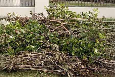 Garden trimming and waste removal