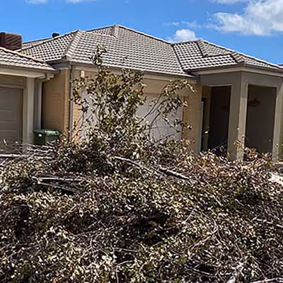 Green and Garden Waste Removal by Canberra Rubbish Removal Service 