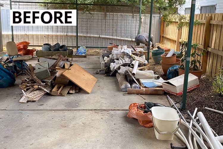 Back Yard Clean Up Before