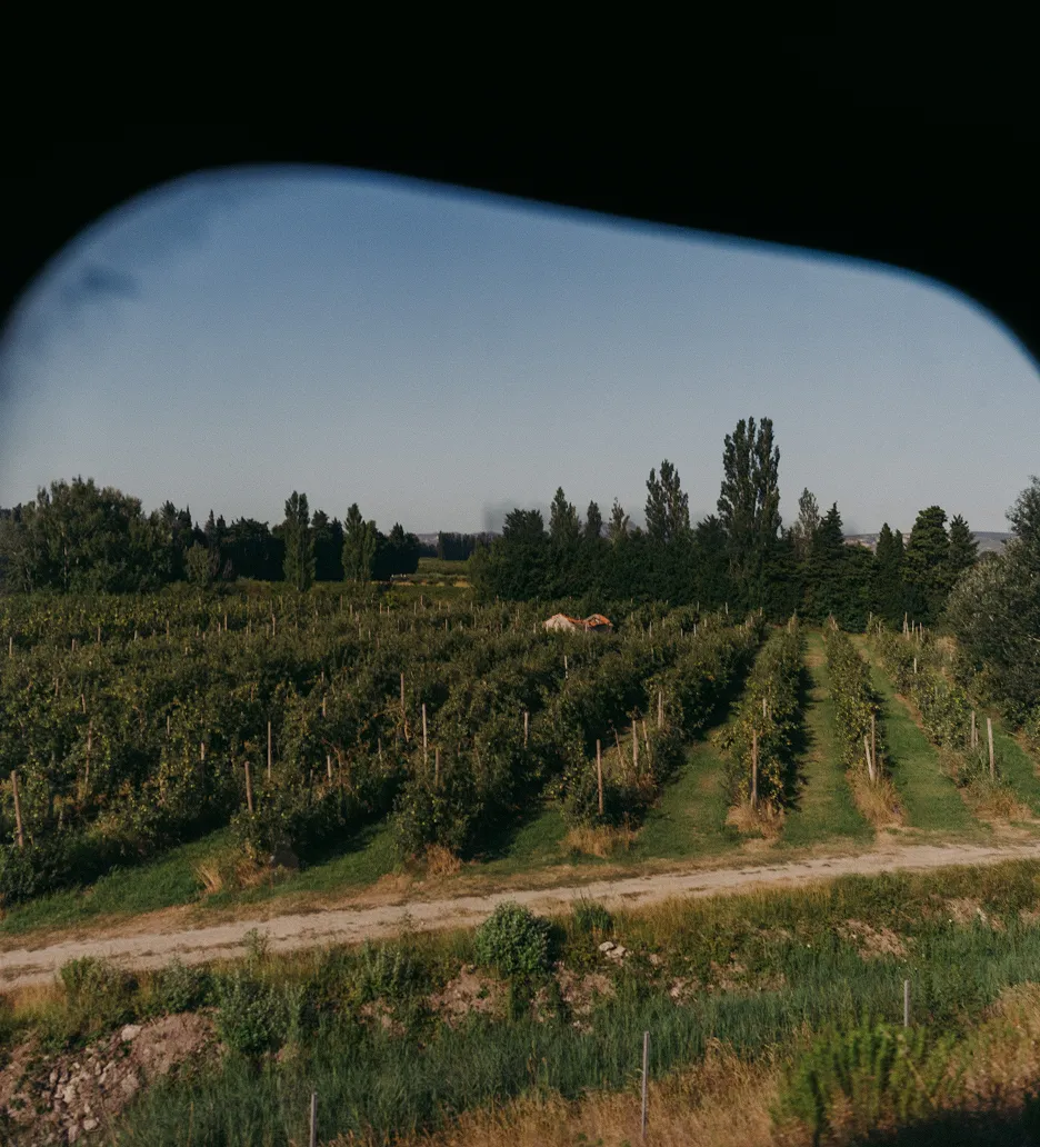Vue depuis la fenêtre d'un train