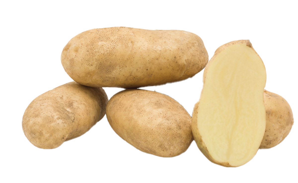 Een vroege consumptieaardappel met een gele schil en lichtgele vleeskleur. Punta staat bekend om zijn egale knollen en goede bewaarbaarheid. Dankzij de stevige kookkwaliteit is hij breed inzetbaar in de keuken: koken, bakken of verwerken in salades.