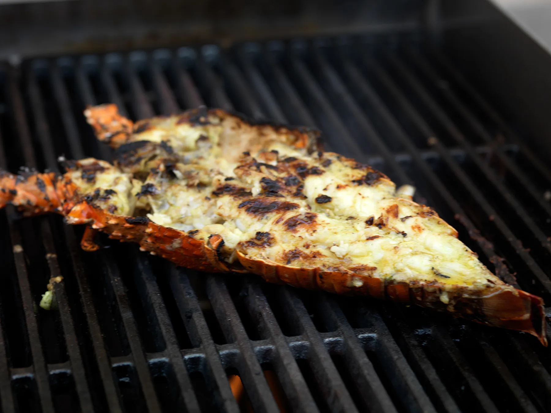 Grilled fresh lobster