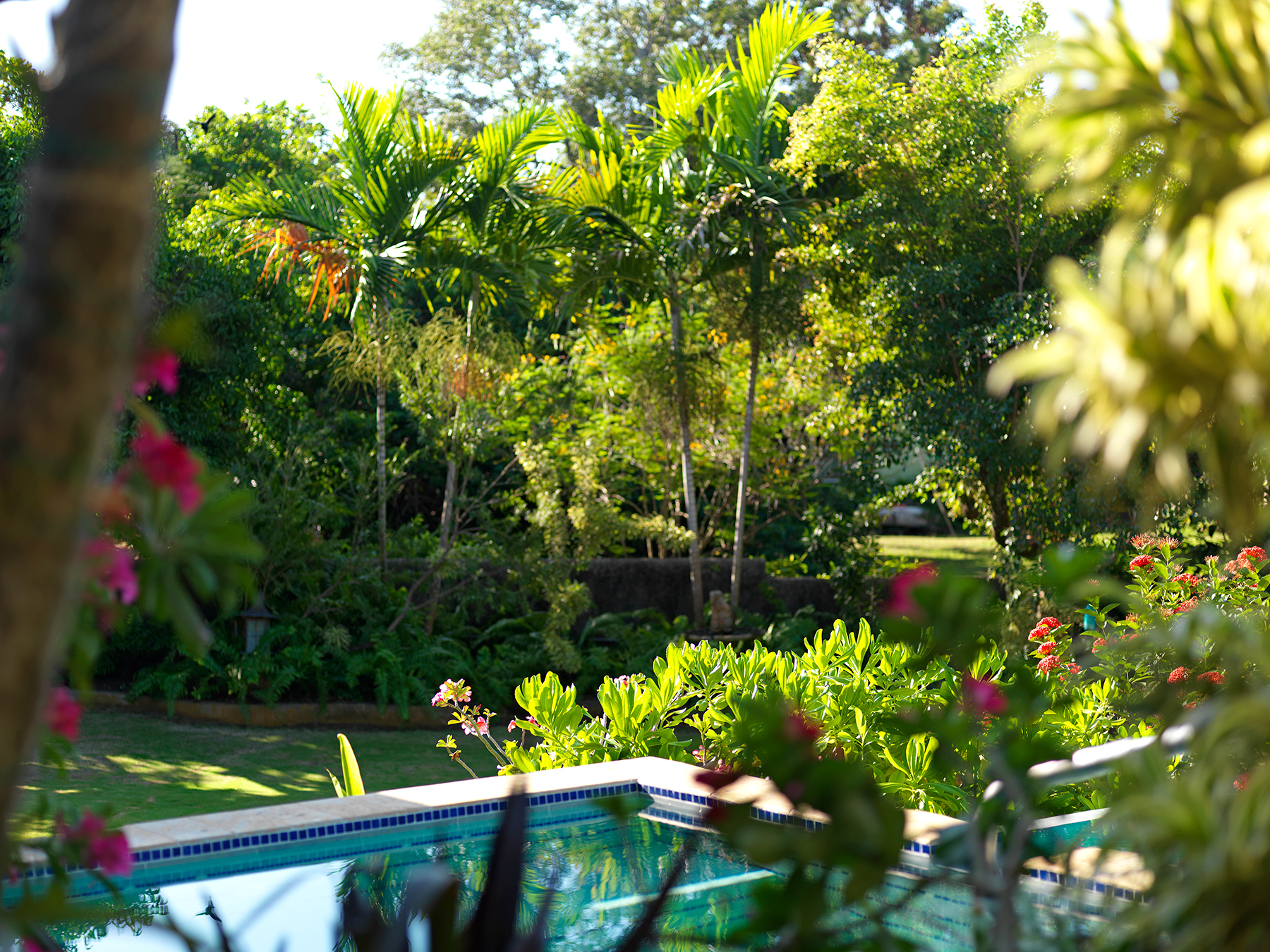 The lush grounds at Amanoka