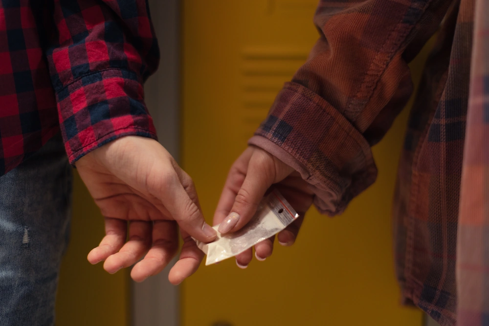 Delitos relacionados con drogas
