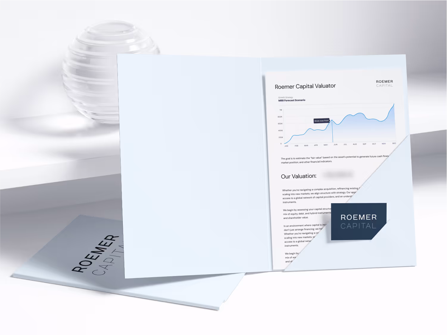 Der Unternehmensbewertungsrechner von Roemer Capital