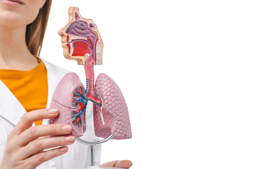 Pulmonary Fibrosis