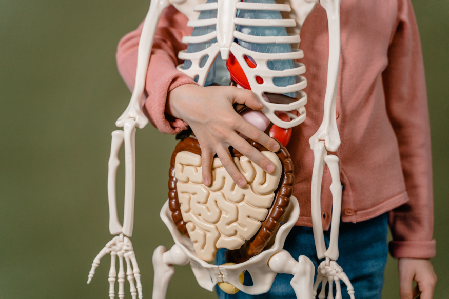Small Intestine Cancer