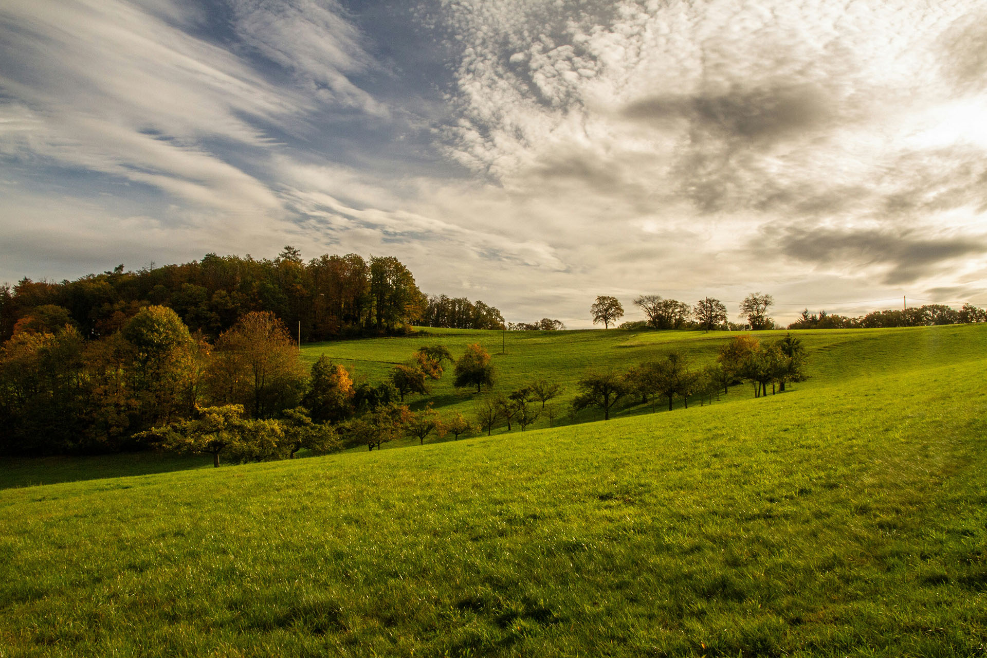 Artutti passie à la carte. Welkom bij artutti. Een oase voor gastronomen en feestbeesten.
