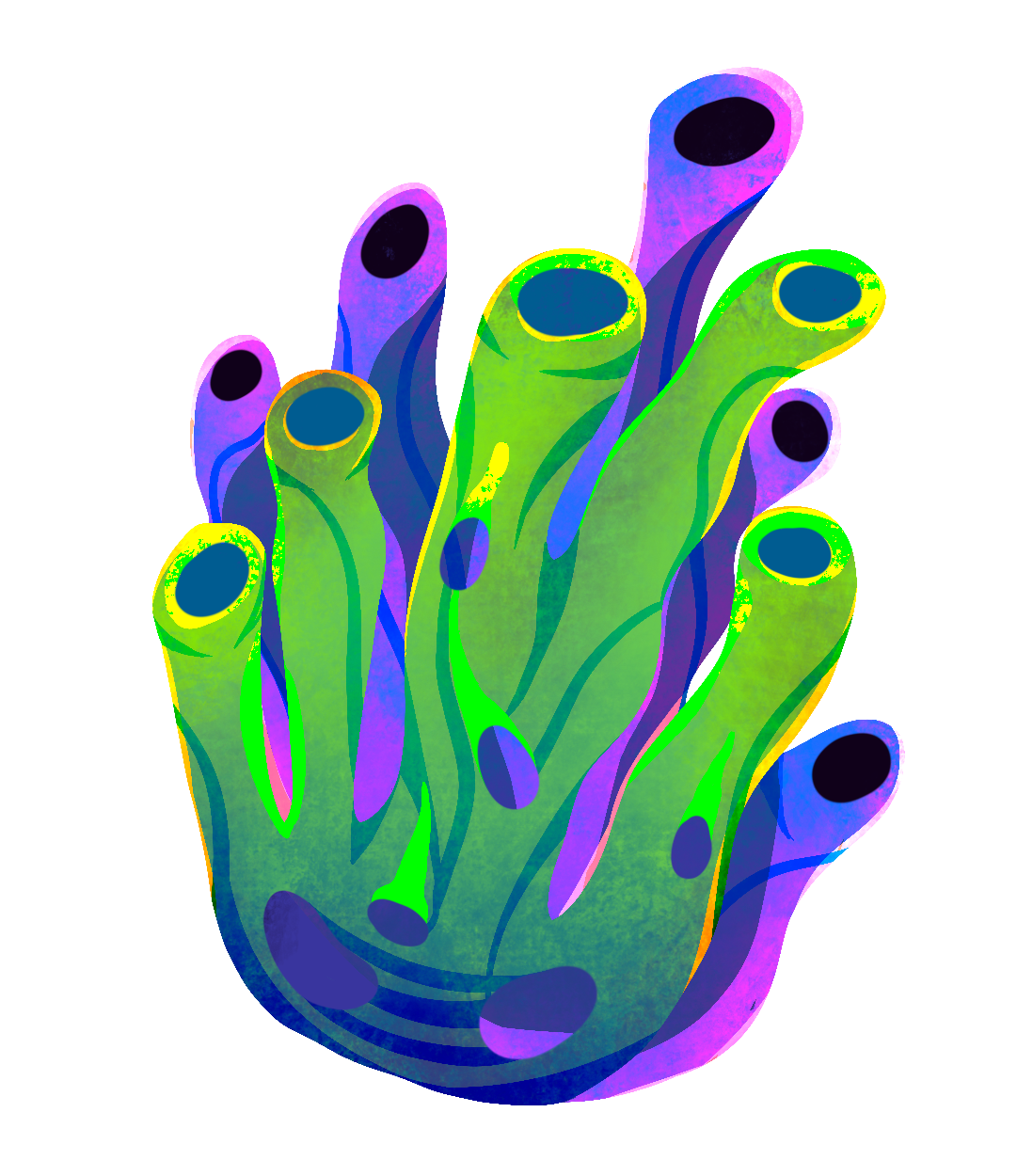 Illustration d'un corail Chroma Studio.