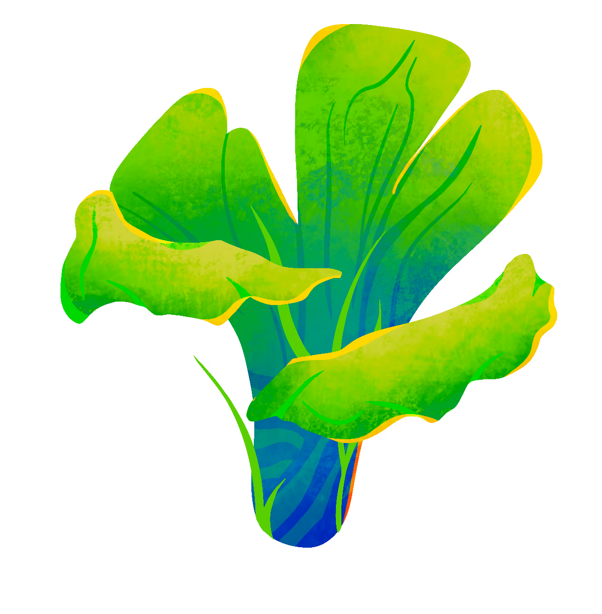 Illustration d'une plante sous-marine Chroma Studio.