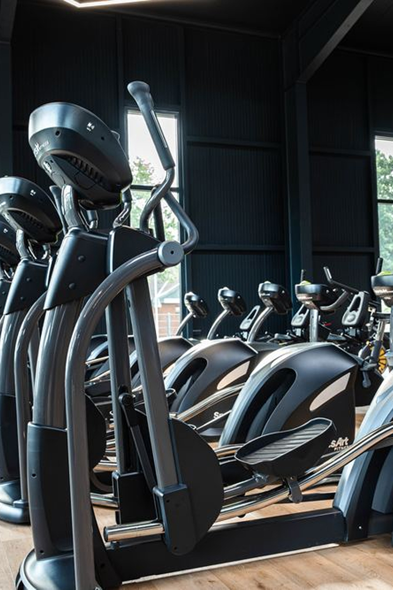 Row of black elliptical machines in a modern gym with large windows and wooden floors.